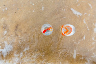 Denizde küçük akvaryumlar ve balıklar.