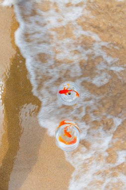 Denizde küçük akvaryumlar ve balıklar.