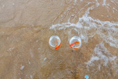 Denizde küçük akvaryumlar ve balıklar.