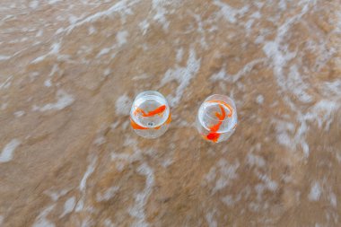 Denizde küçük akvaryumlar ve balıklar.