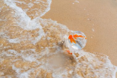 Denizde küçük akvaryumlar ve balıklar.