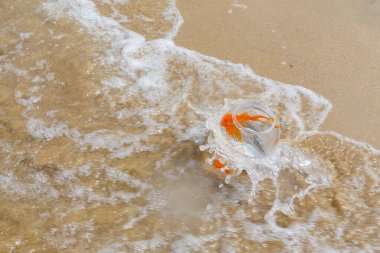 Denizde küçük akvaryumlar ve balıklar.