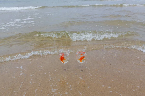 stock image Small aquariums and fish in the sea.