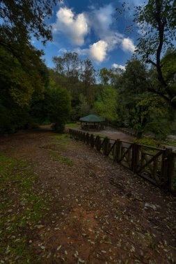 Sonbahar. Belgrad Ormanı, İstanbul, Türkiye 'deki Old Barrage