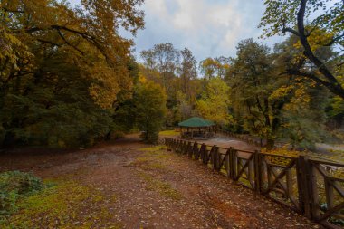 Sonbahar. Belgrad Ormanı, İstanbul, Türkiye 'deki Old Barrage