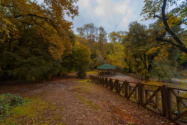 Outono Old Barrage Belgrad Forest Istambul Turquia — Fotografia de Stock