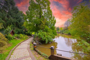İstanbul 'un Sariyer ilçesinde Atatürk Ağacı