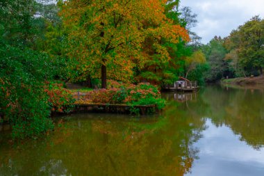 İstanbul 'un Sariyer ilçesinde Atatürk Ağacı