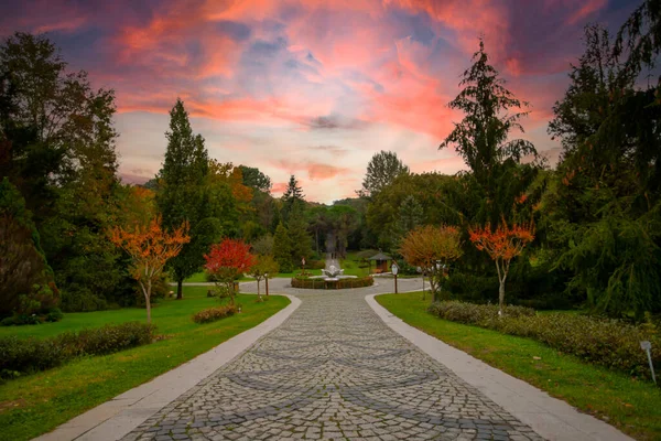 Ataturk Arboretum Sariyerin Alueella Istanbulissa — kuvapankkivalokuva