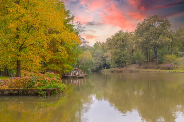 İstanbul 'un Sariyer ilçesinde Atatürk Ağacı