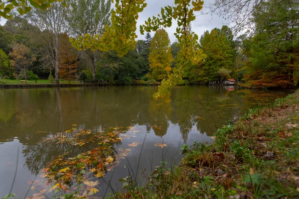 Ataturk Arboretum Distrito Sariyer Estambul —  Fotos de Stock