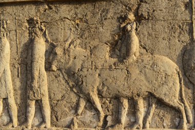 İran 'ın Şiraz kentinde ve Pers İmparatorluğu' nun başkentinde yer alan Persepolis, yaklaşık 2500 yıl önce Pers Kralı I. Darius tarafından kuruldu..