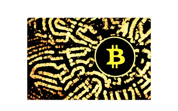 Cryptomonnaies Jetons Monnaie Bitcoin — Photo