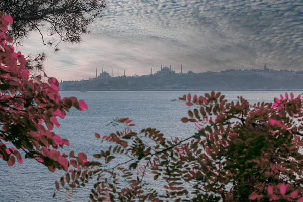 Marmarahavet Den Blå Moskeen Hagia Sophia Vakker Solnedgang Istanbul – stockfoto