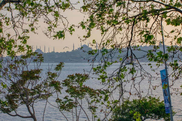 Marmara Denizi ve Mavi Cami, Ayasofya, İstanbul 'da güzel bir gün batımı