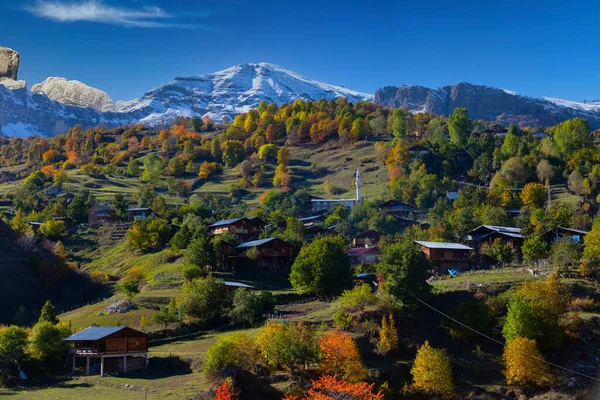 Savsatの秋の景色 トルコのアルヴィン Bazgiretマデン村の美しい秋の風景 雪の山を背景にしたカラフルな秋の自然風景 — ストック写真