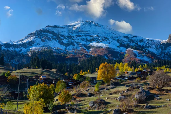 在Savsat的秋天景色 阿尔特文 土耳其 美丽的秋天风景在Bazgiret Maden村 五彩缤纷的秋天自然景观与雪山背景 — 图库照片
