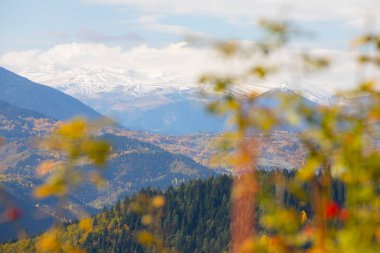 Karcal Dağları veya Karacal Dağı, Artvin sınırları içinde Türkiye 'nin kuzeydoğu ucunda yer alan bir sıradağdır..