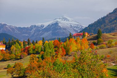 Karcal Dağları veya Karacal Dağı, Artvin sınırları içinde Türkiye 'nin kuzeydoğu ucunda yer alan bir sıradağdır..