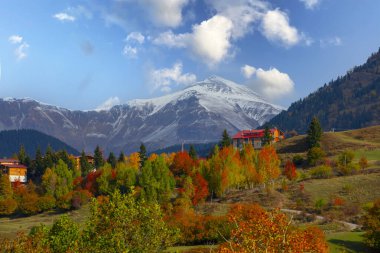 Karcal Dağları veya Karacal Dağı, Artvin sınırları içinde Türkiye 'nin kuzeydoğu ucunda yer alan bir sıradağdır..