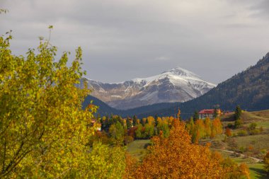 Karcal Dağları veya Karacal Dağı, Artvin sınırları içinde Türkiye 'nin kuzeydoğu ucunda yer alan bir sıradağdır..