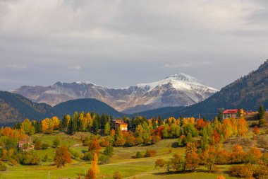 Karcal Dağları veya Karacal Dağı, Artvin sınırları içinde Türkiye 'nin kuzeydoğu ucunda yer alan bir sıradağdır..