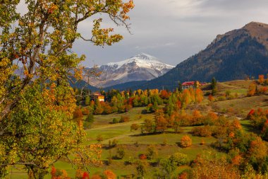 Karcal Dağları veya Karacal Dağı, Artvin sınırları içinde Türkiye 'nin kuzeydoğu ucunda yer alan bir sıradağdır..