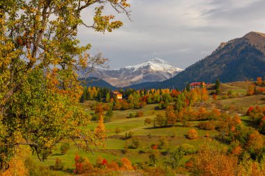 Karcal Dağları veya Karacal Dağı, Artvin sınırları içinde Türkiye 'nin kuzeydoğu ucunda yer alan bir sıradağdır..