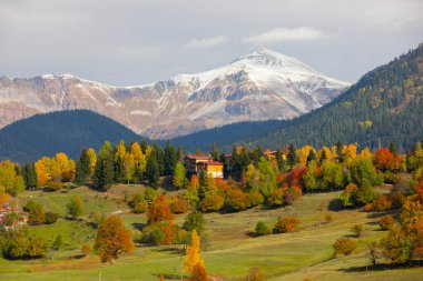 Karcal Dağları veya Karacal Dağı, Artvin sınırları içinde Türkiye 'nin kuzeydoğu ucunda yer alan bir sıradağdır..