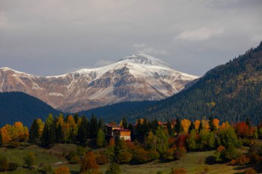 Karcal Dağları veya Karacal Dağı, Artvin sınırları içinde Türkiye 'nin kuzeydoğu ucunda yer alan bir sıradağdır..