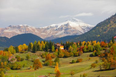 Karcal Dağları veya Karacal Dağı, Artvin sınırları içinde Türkiye 'nin kuzeydoğu ucunda yer alan bir sıradağdır..