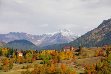 Karcal Dağları veya Karacal Dağı, Artvin sınırları içinde Türkiye 'nin kuzeydoğu ucunda yer alan bir sıradağdır..