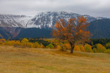 Karcal Dağları veya Karacal Dağı, Artvin sınırları içinde Türkiye 'nin kuzeydoğu ucunda yer alan bir sıradağdır..