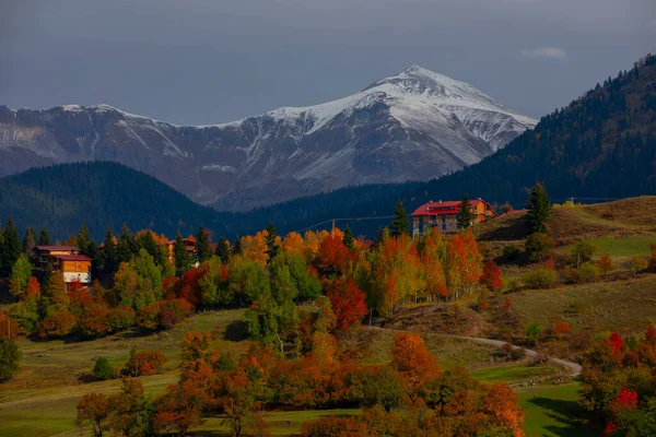 Karcal Mountains 카라칼 Karacal Mountain 아르트빈 경계에 북동부 산맥이다 — 스톡 사진