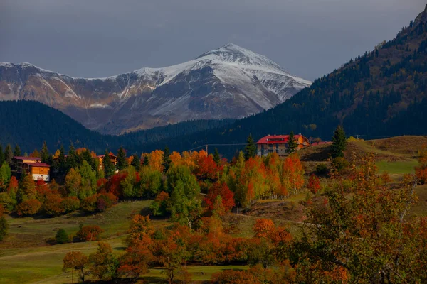 Karcal Dağları veya Karacal Dağı, Artvin sınırları içinde Türkiye 'nin kuzeydoğu ucunda yer alan bir sıradağdır..