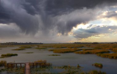 Efteni Gölü, Duzce Şehri, Türkiye