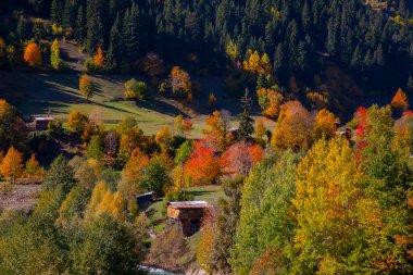 Artvin 'in Borcka ilçesine bağlı Maahel, Karal Dağları eteklerinde yer alan bir vadidir. Bölge, Rusya ile Türkiye arasında 1921 yılında imzalanan sınır anlaşmasıyla şu anki şeklini aldı.