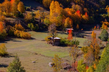 Artvin 'in Borcka ilçesine bağlı Maahel, Karal Dağları eteklerinde yer alan bir vadidir. Bölge, Rusya ile Türkiye arasında 1921 yılında imzalanan sınır anlaşmasıyla şu anki şeklini aldı.