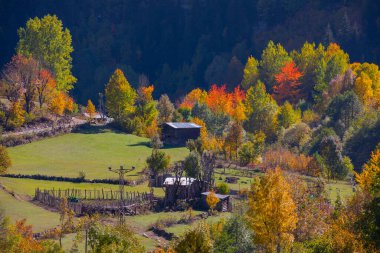 Artvin 'in Borcka ilçesine bağlı Maahel, Karal Dağları eteklerinde yer alan bir vadidir. Bölge, Rusya ile Türkiye arasında 1921 yılında imzalanan sınır anlaşmasıyla şu anki şeklini aldı.