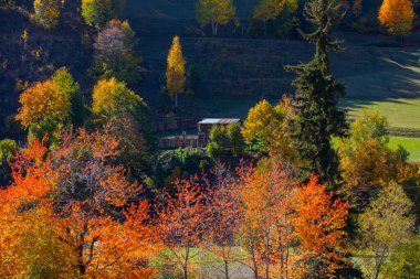 Artvin 'in Borcka ilçesine bağlı Maahel, Karal Dağları eteklerinde yer alan bir vadidir. Bölge, Rusya ile Türkiye arasında 1921 yılında imzalanan sınır anlaşmasıyla şu anki şeklini aldı.