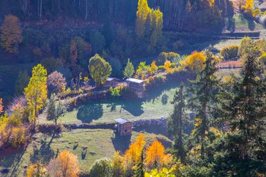 Artvin 'in Borcka ilçesine bağlı Maahel, Karal Dağları eteklerinde yer alan bir vadidir. Bölge, Rusya ile Türkiye arasında 1921 yılında imzalanan sınır anlaşmasıyla şu anki şeklini aldı.