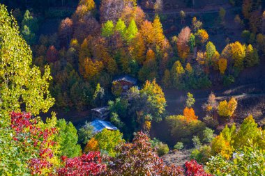 Artvin 'in Borcka ilçesine bağlı Maahel, Karal Dağları eteklerinde yer alan bir vadidir. Bölge, Rusya ile Türkiye arasında 1921 yılında imzalanan sınır anlaşmasıyla şu anki şeklini aldı.