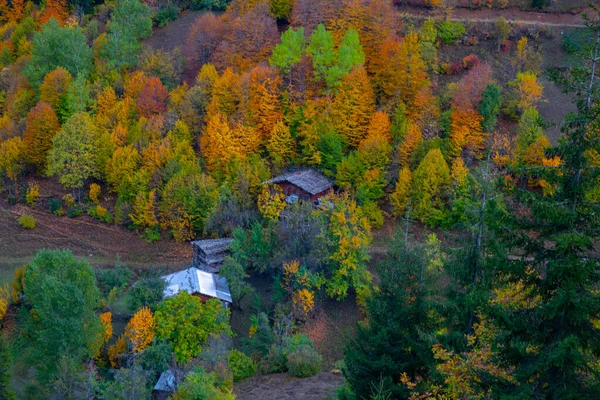 Vista Outono Savsat Artvin Turquia Bela Paisagem Outono Bazgiret Maden — Fotografia de Stock