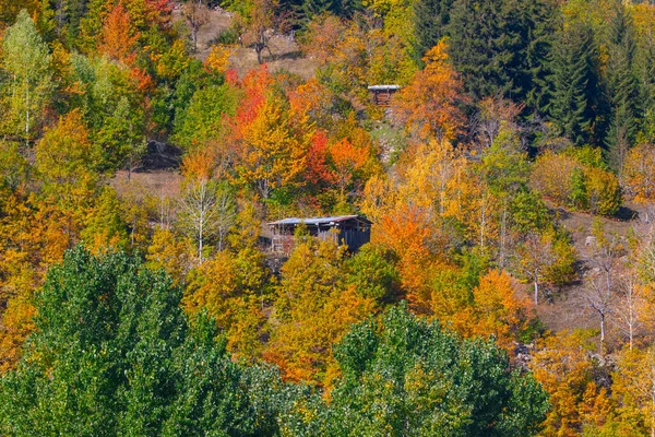Jesienny Widok Savsat Artvin Turcja Piękny Jesienny Krajobraz Bazgiret Maden — Zdjęcie stockowe
