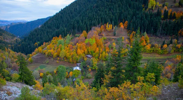 Blick Auf Den Herbst Savsat Artvin Türkei Schöne Herbstlandschaft Dorf — Stockfoto