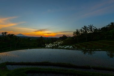 Dağlar, gündoğumu, Bali Endonezya pirinç terasları