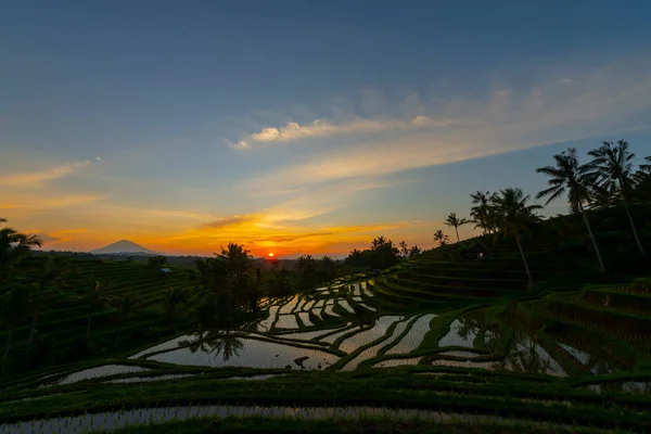 山の日の出 インドネシア バリ島の棚田 — ストック写真