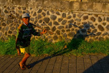 Köylüler sabah Endonezya 'daki pirinç tarlasına gidiyorlar. Güneydoğu Asya' da..
