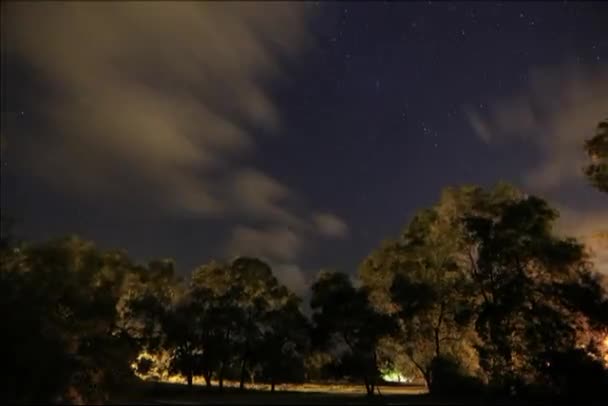 Progresia Rapidă Stelelor Timp Noapte Imaginea Scurgere Timpului — Videoclip de stoc