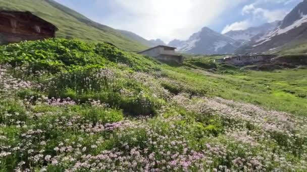 Kackar Dağları Avusor Platosu Rize Nin Güzel Dağları — Stok video